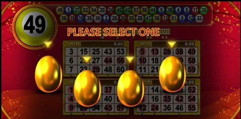 หมายเหตุบางส่วนเมื่อเข้าร่วม Gold Rooster Lottery Soibet