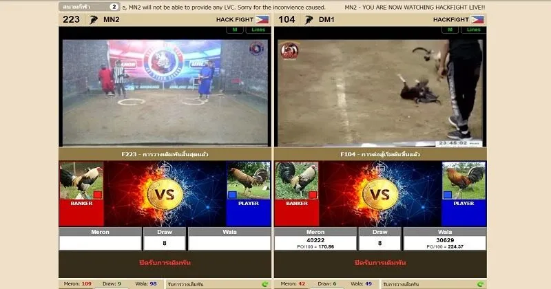 กฎ Cockfight Live x5bet 
