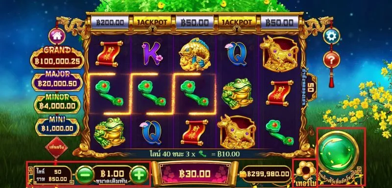 คุณสมบัติที่ใช้กันทั่วไปในการถ่ายทําขวด Fortune Gong x5bet